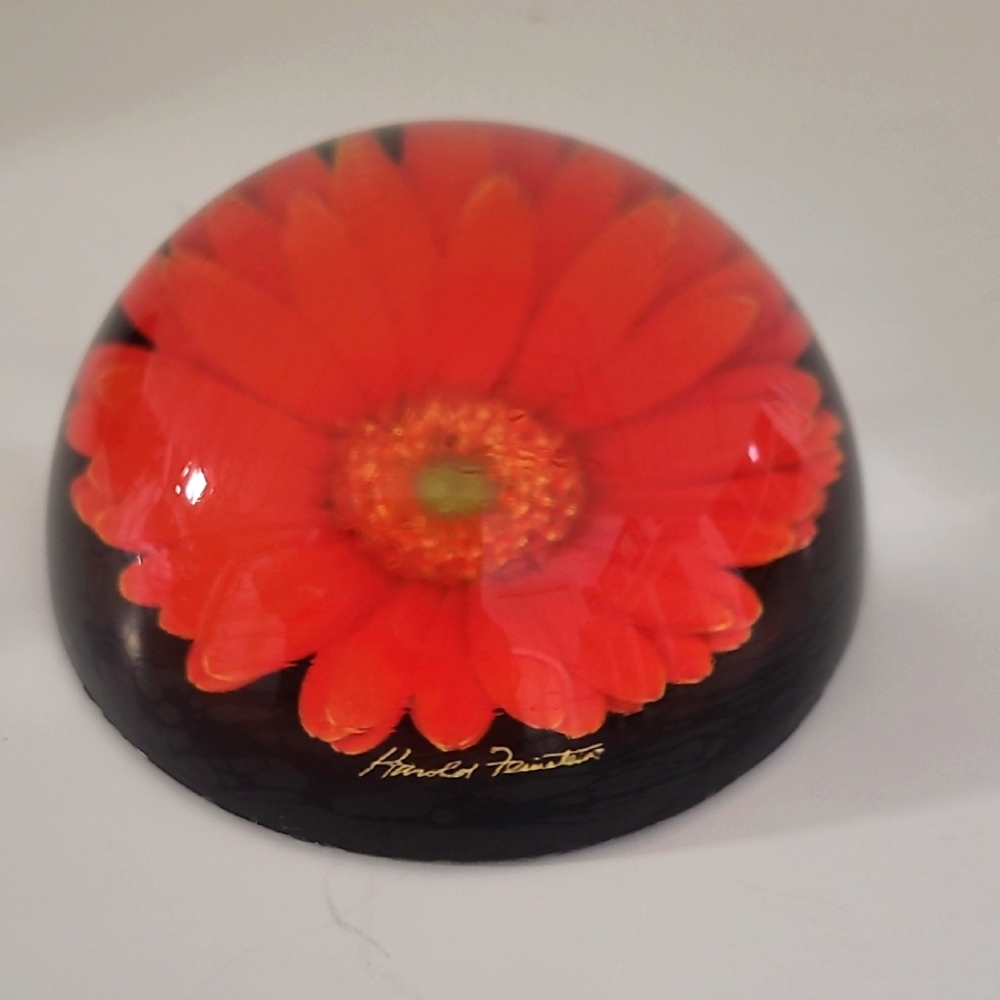 Harold Feinstein Mo Dome Paperweight